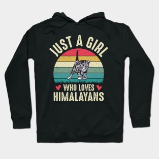 Just A Girl Who Loves Himalayan Cat Cute Himalayans Cat Mom Girls Gift Hoodie